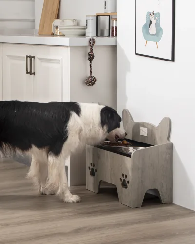 Bol surélevé pour chien gris-beige, 2 bols