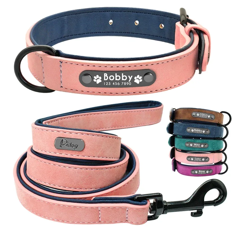 Collier et laisse en cuir pour chien, rembourré