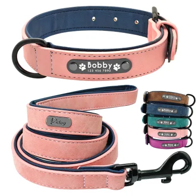 Collier et laisse en cuir pour chien, rembourré