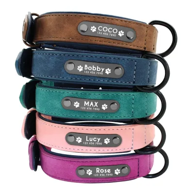 Collier et laisse en cuir pour chien, rembourré – image 2