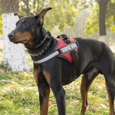 Harnais de poitrine pour chien en polyester – image 2