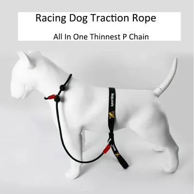 Laisse de dressage 2-en-1 en nylon, 150 cm – image 2