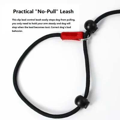 Laisse de dressage 2-en-1 en nylon, 150 cm – image 3