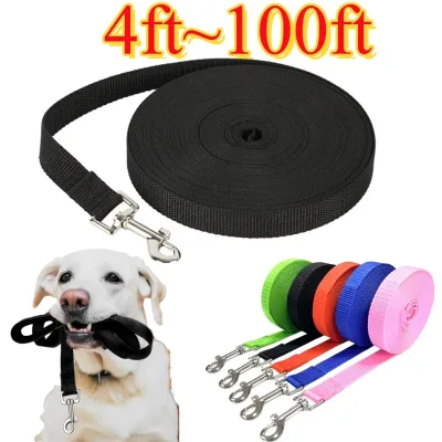 Laisse longue en nylon réfléchissant pour chien